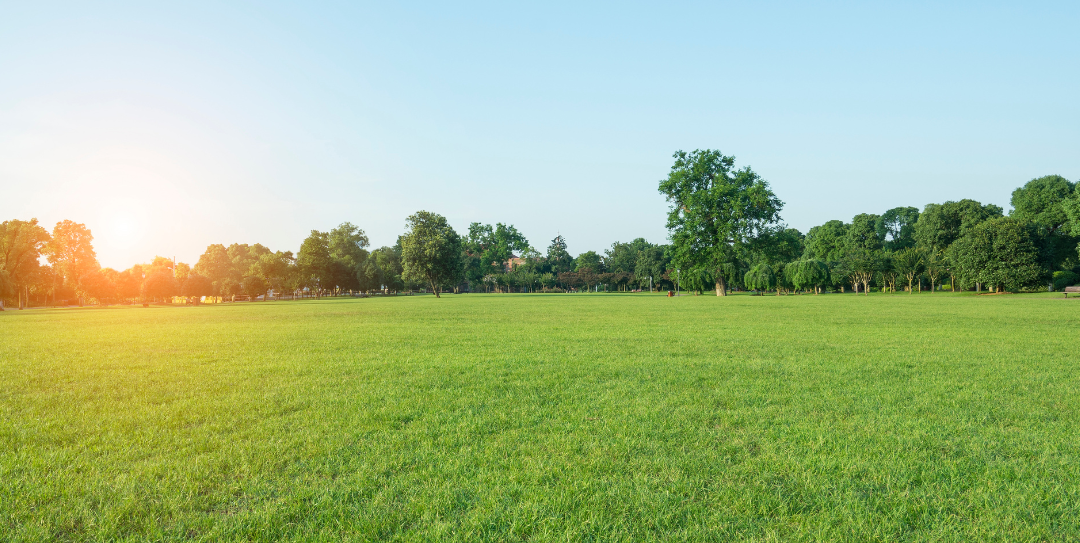 landscaping software for professionals