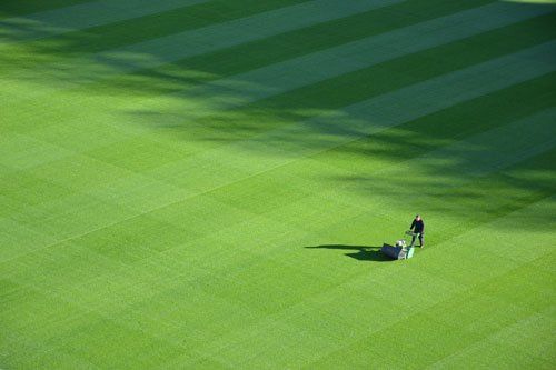 Top 5 reason successful lawn care companies measure